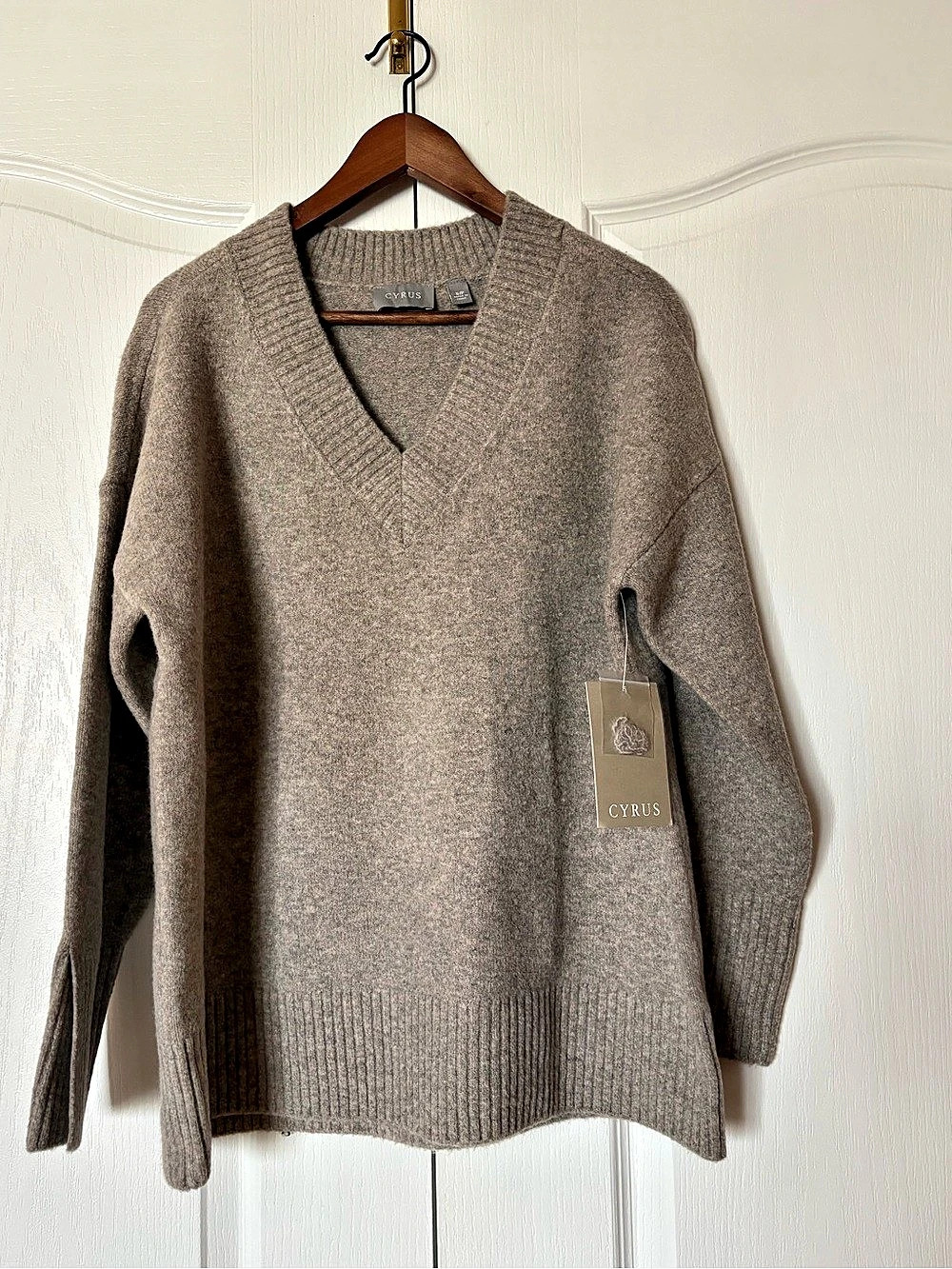 Cyrus V-Neck Sweater in Brown Size Small NWT